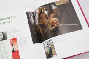 Detailabbildung »Die Sahneschnitte«