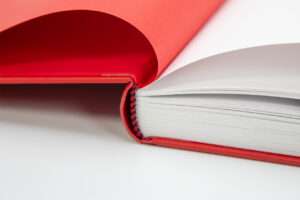 Detailabbildung »NSCI«