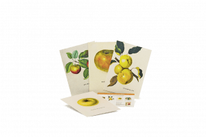 Postkarte vom An Apple A Day 2019