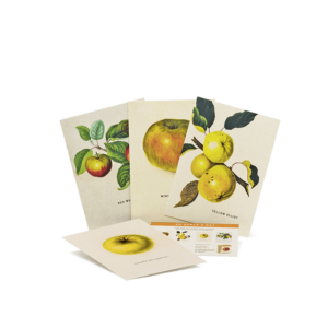 Postkarte vom An Apple A Day 2019