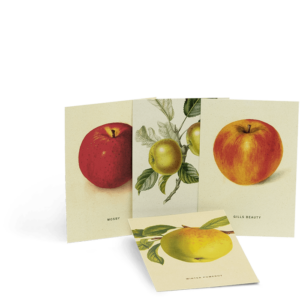 Postkartenset zu An Apple A Day Kalender 2020