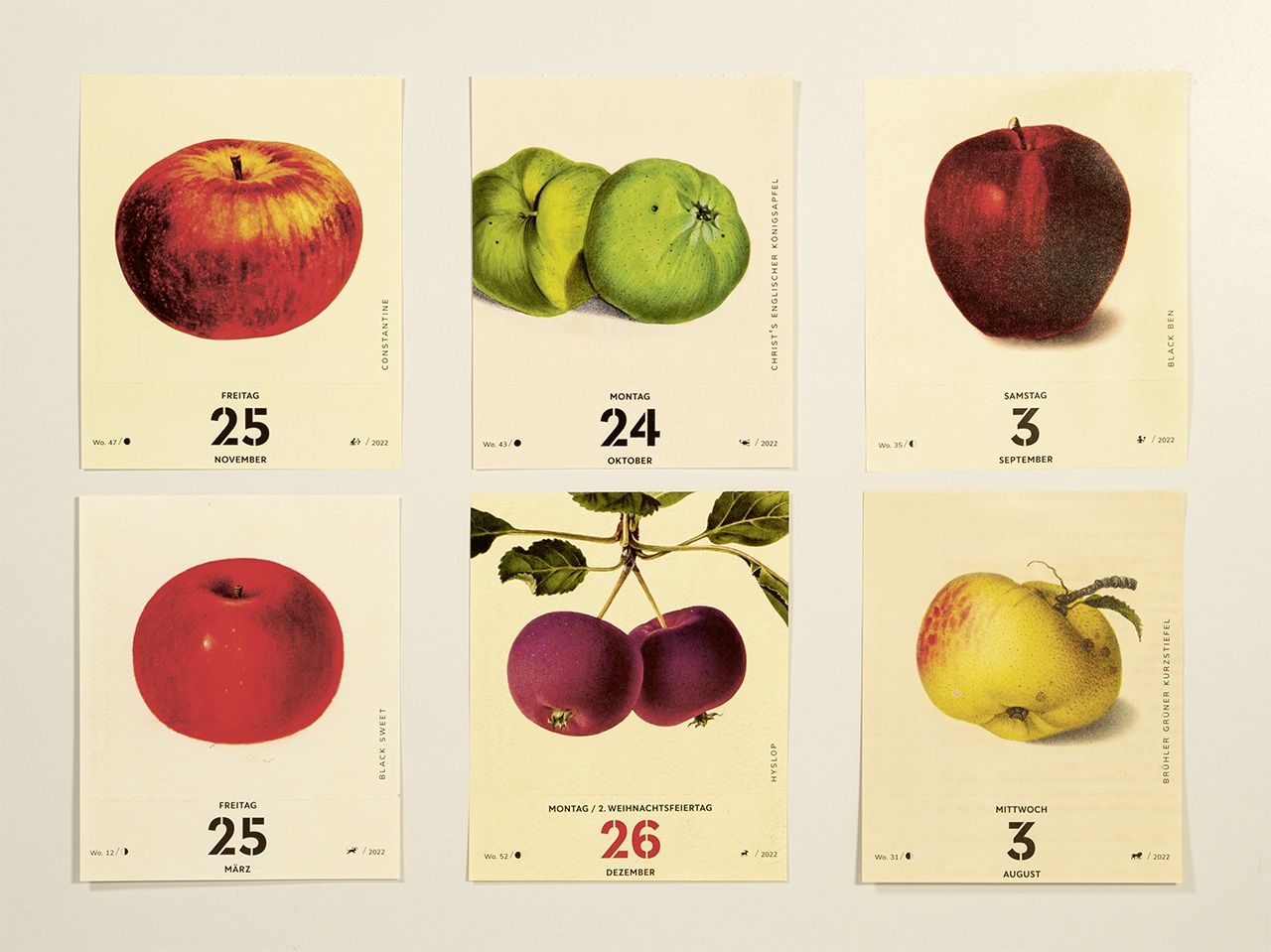 Beispielbild vom neuen Apfelkalender 2022