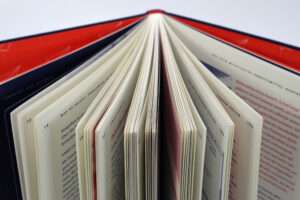 Detailabbildung zum Buch »Spring!«